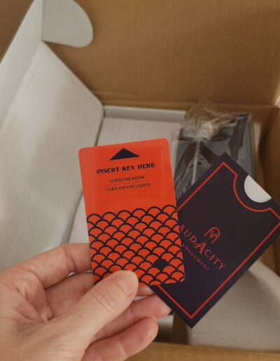 Audacity Management - Business Cards