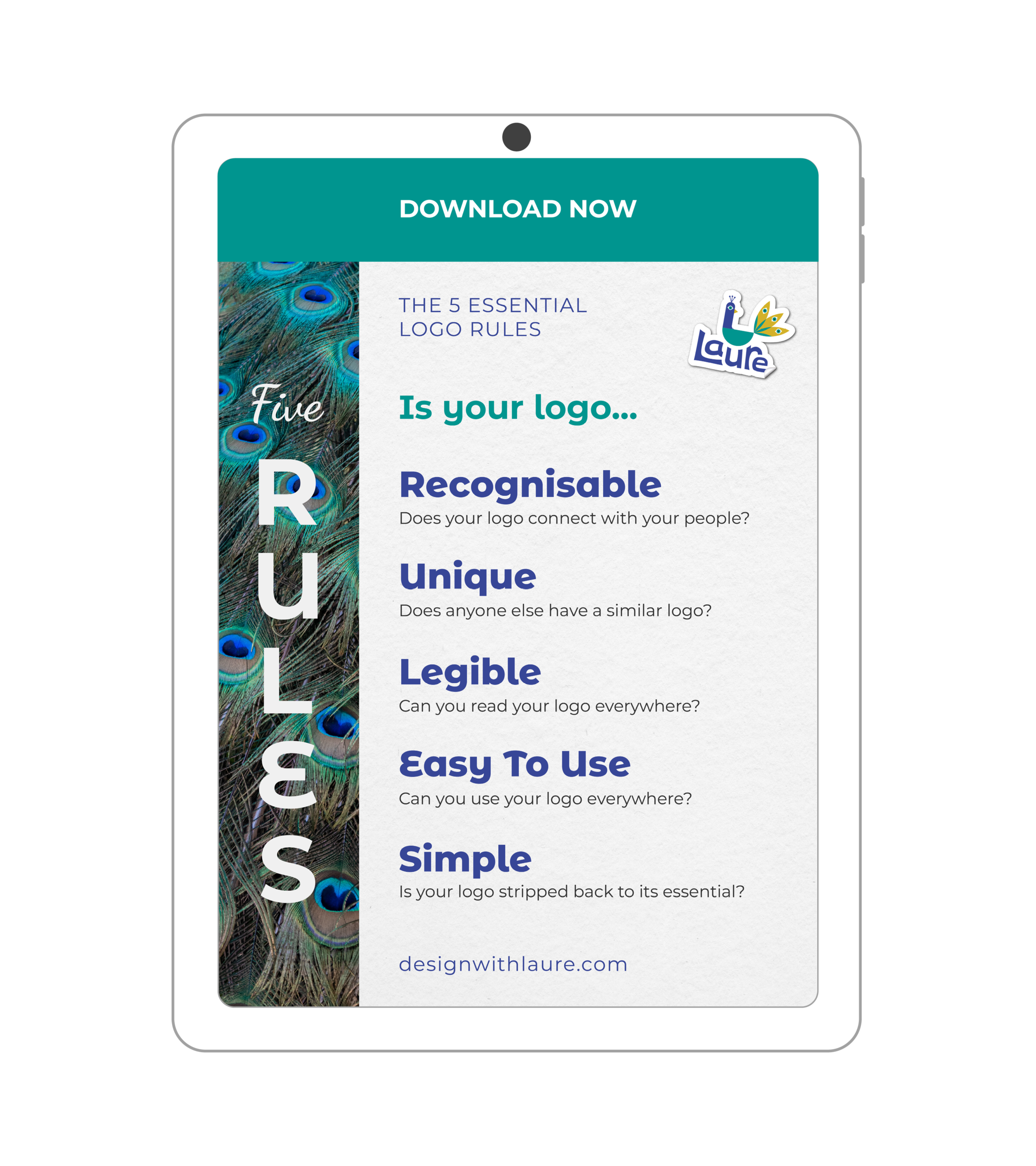 Mockup 5 Logo Rules Checklist