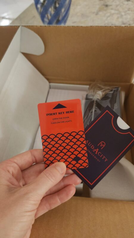 Audacity Management - Business Cards